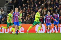 开云官网-水晶宫主场艰难取胜，继续保持不败的简单介绍