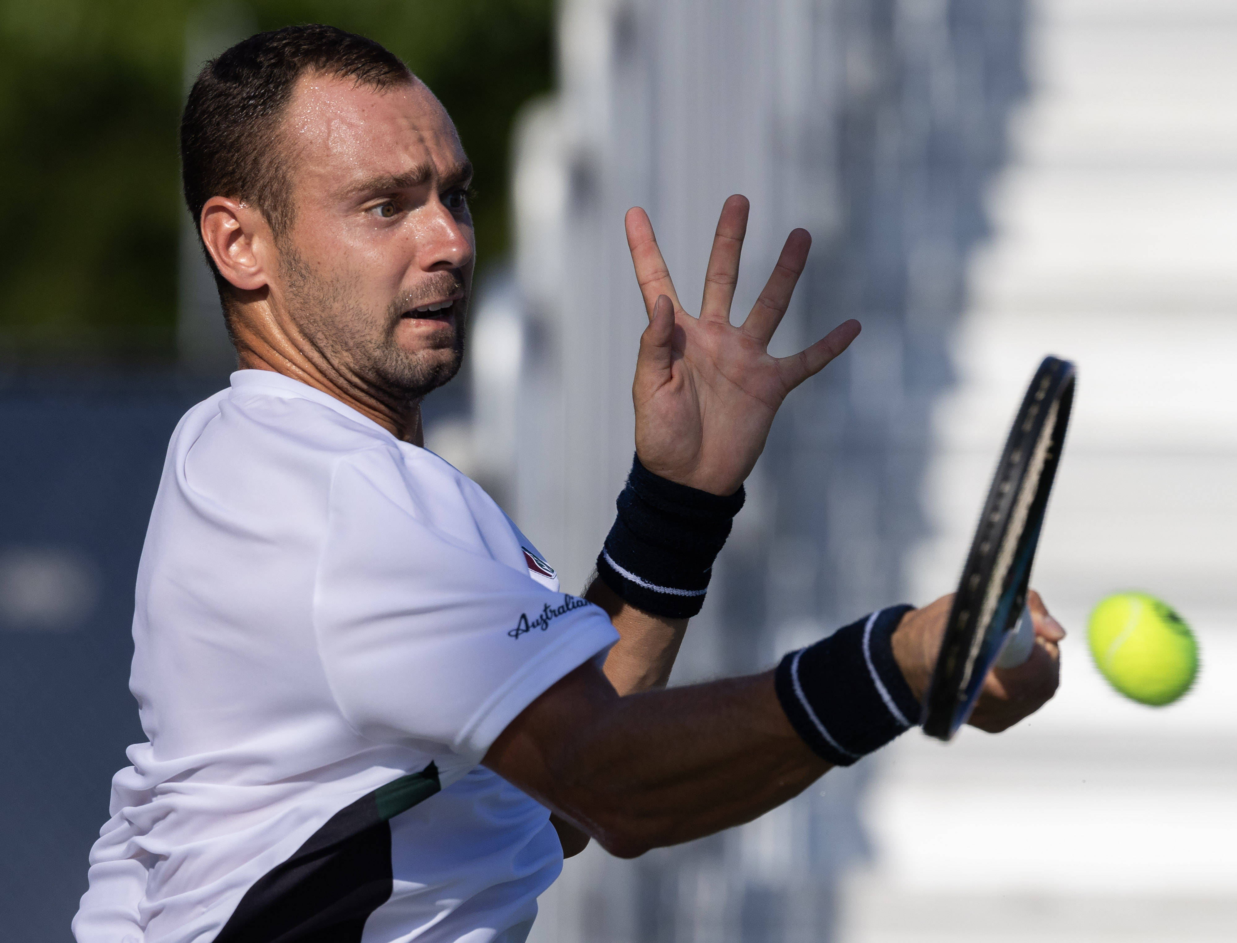 包含美网翻盘ATP总决赛，鲁德惊艳四座的词条