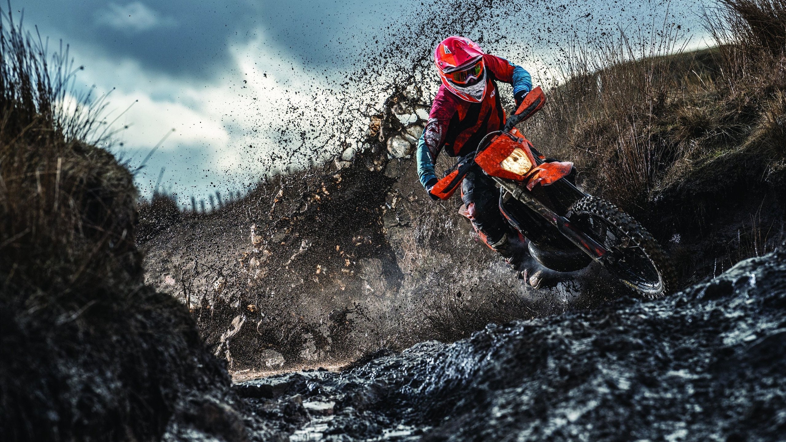 波斯湾的绿茵风暴，卡塔尔战术碾压与莱万的王者统治